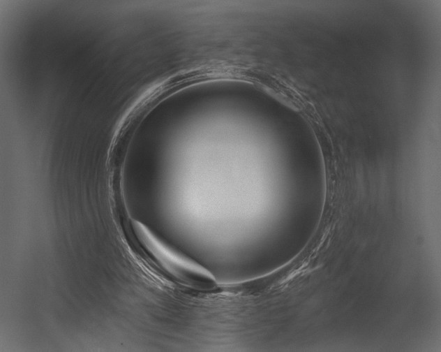 X0000054360197200508011229