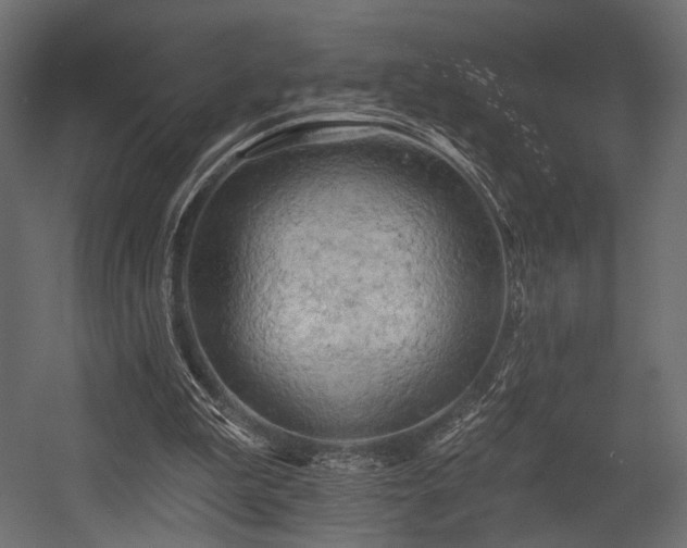 X0000054360199200508011229