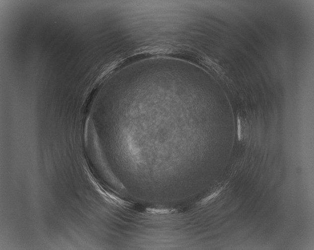 X0000054360205200508011229