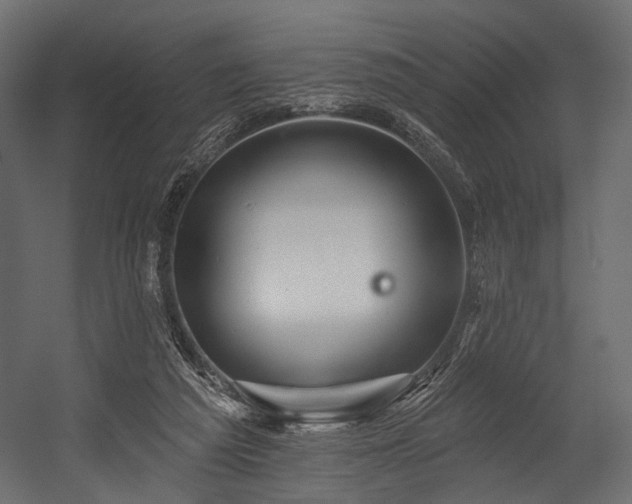 X0000054360209200508011229