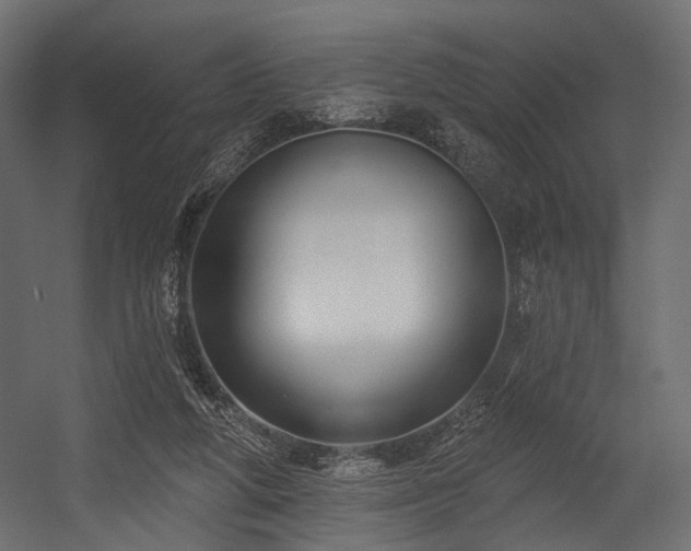 X0000054360210200508011229