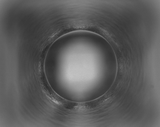 X0000054360211200508011229