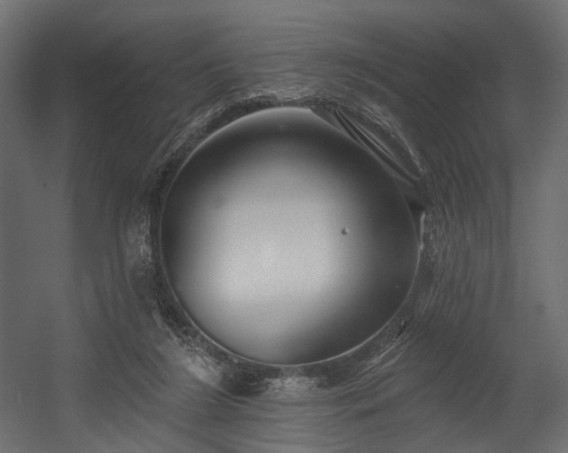 X0000054360212200508011229