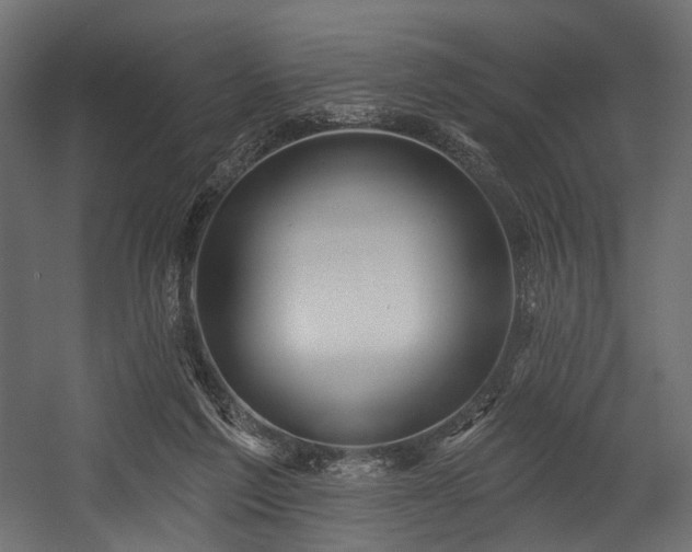 X0000054360213200508011229