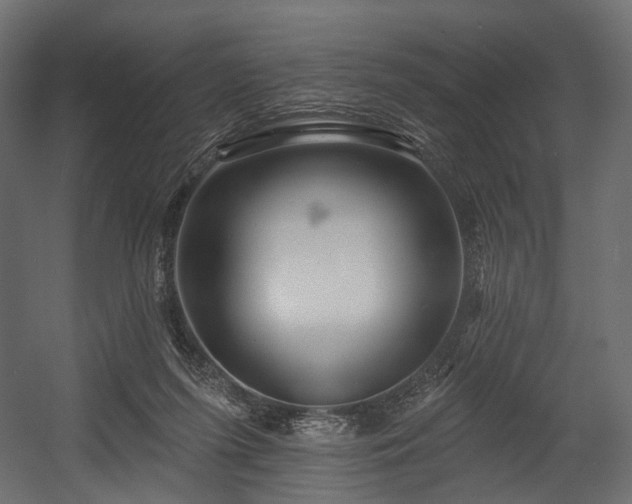 X0000054360215200508011229