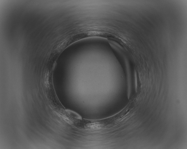 X0000054360219200508011229