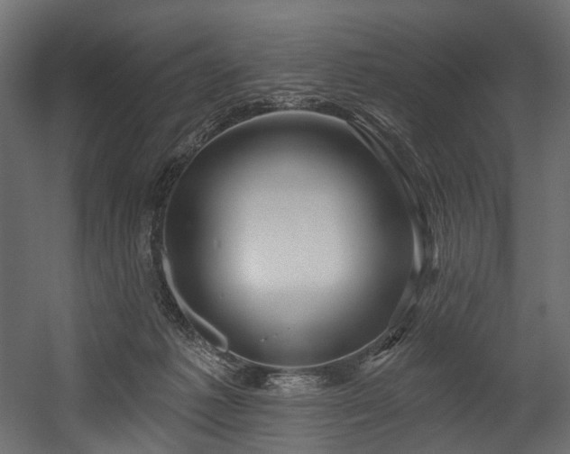 X0000054360221200508011229