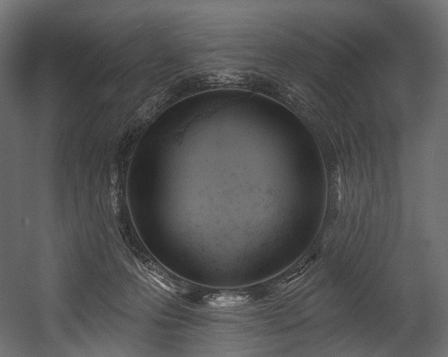 X0000054360223200508011229