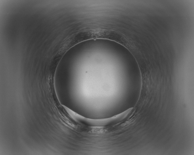 X0000054360225200508011229