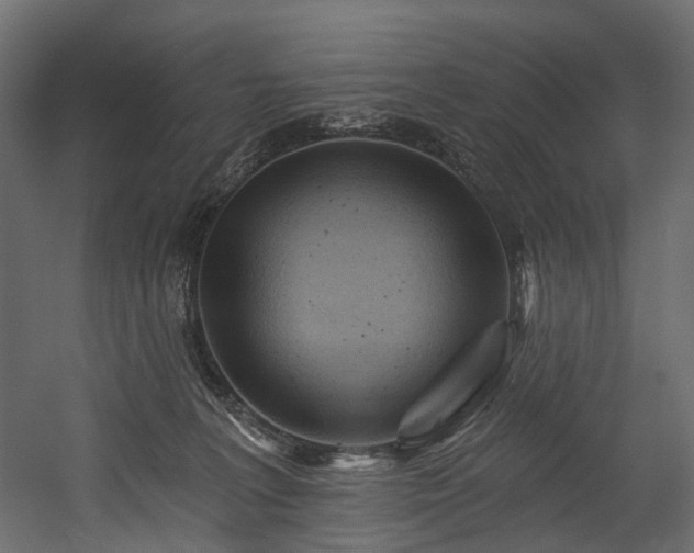 X0000054360227200508011229