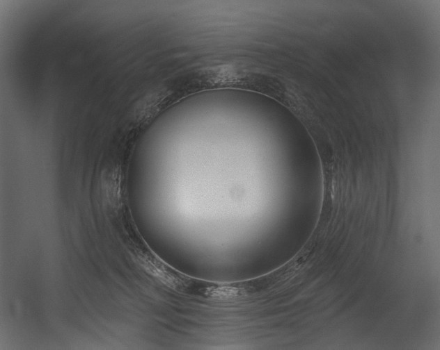 X0000054360230200508011229