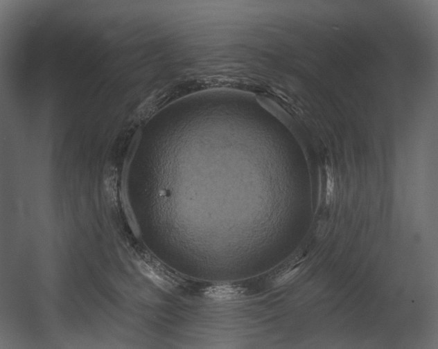 X0000054360231200508011229