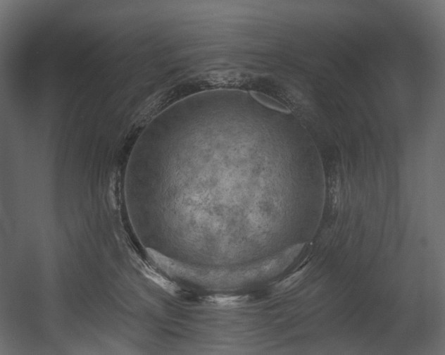 X0000054360233200508011229