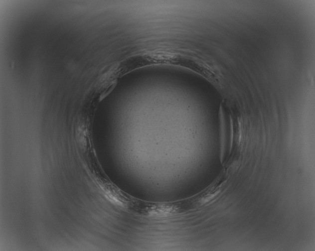 X0000054360235200508011229