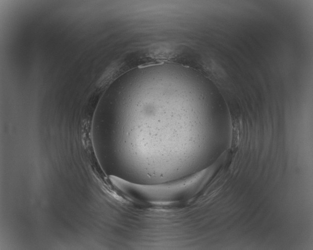 X0000054360237200508011229