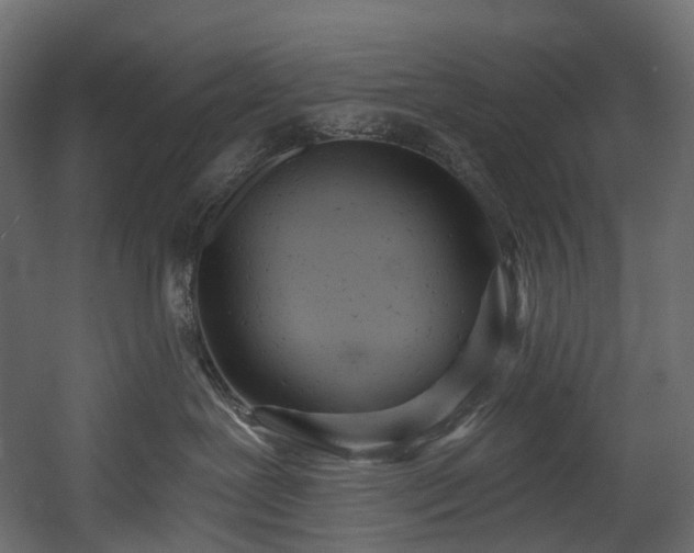 X0000054360239200508011228