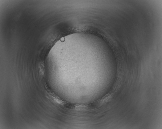 X0000054360240200508011228