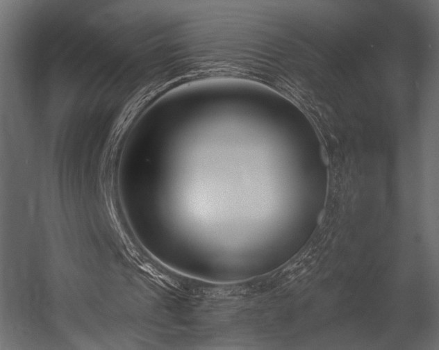 X0000054360241200508011228