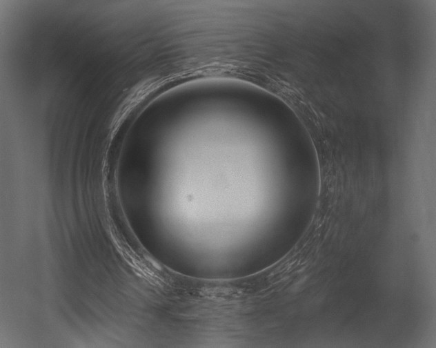 X0000054360242200508011228