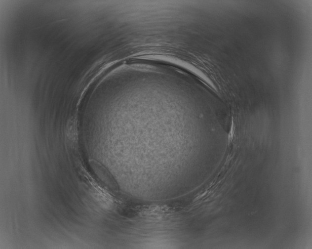 X0000054360243200508011228