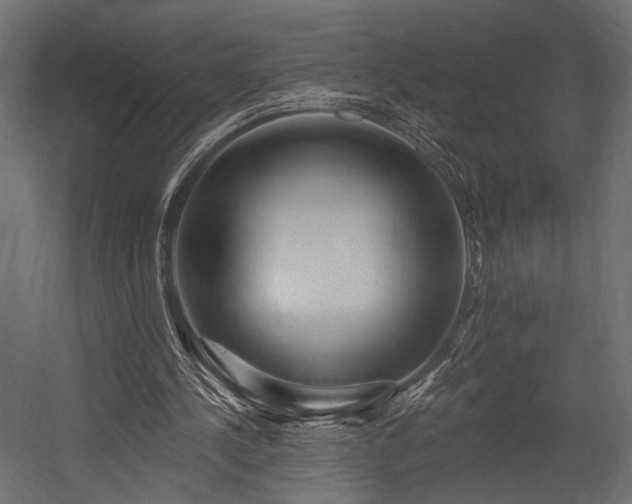 X0000054360244200508011228