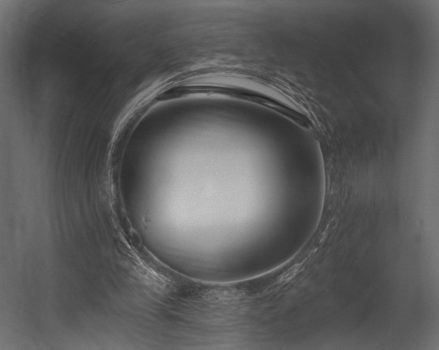 X0000054360245200508011228