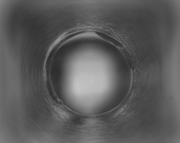 X0000054360246200508011228