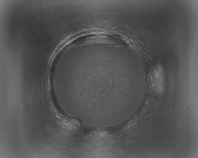 X0000054360247200508011228