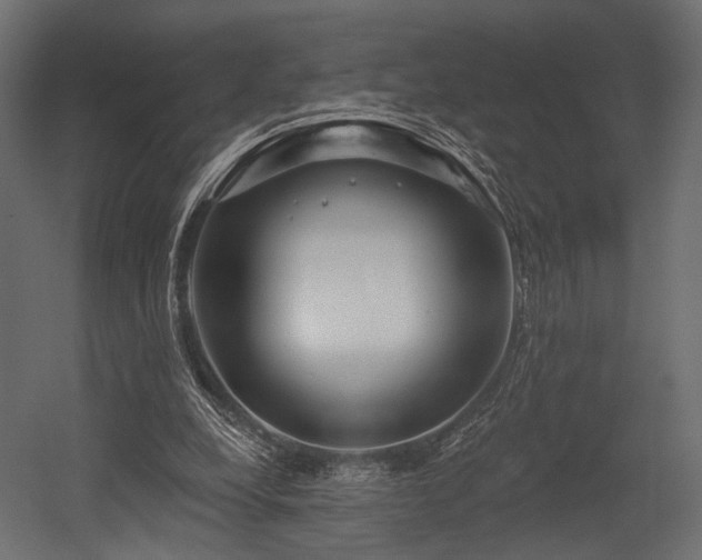 X0000054360248200508011228