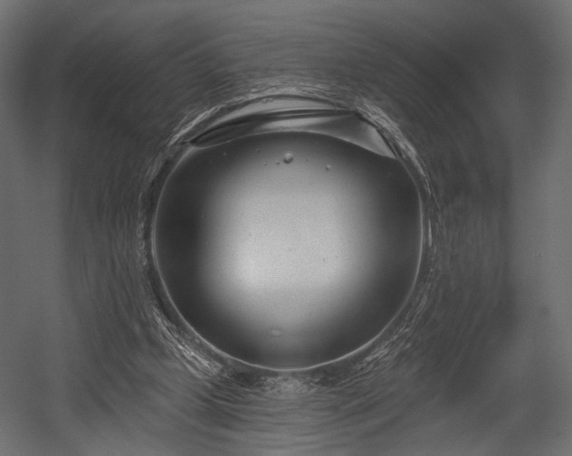 X0000054360249200508011228