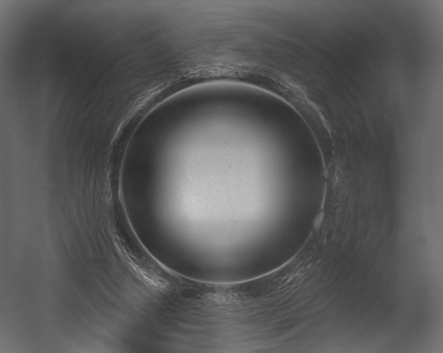 X0000054360250200508011228