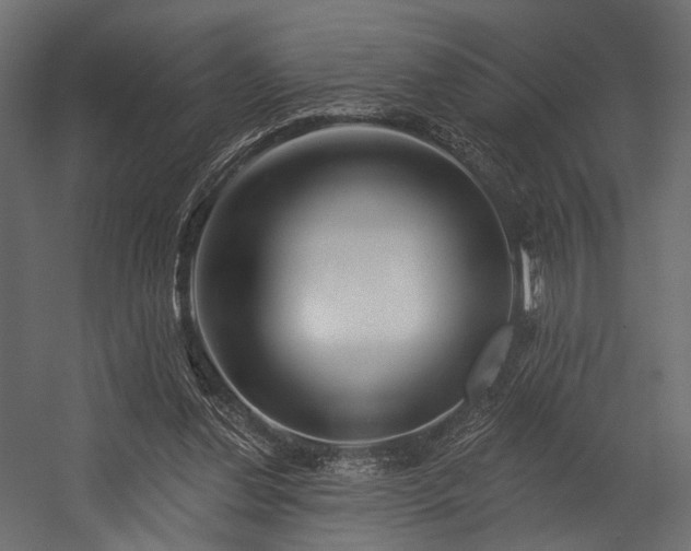 X0000054360252200508011228