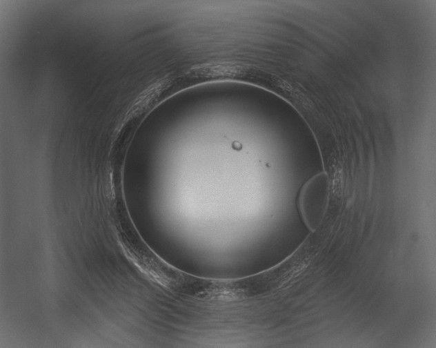 X0000054360254200508011228