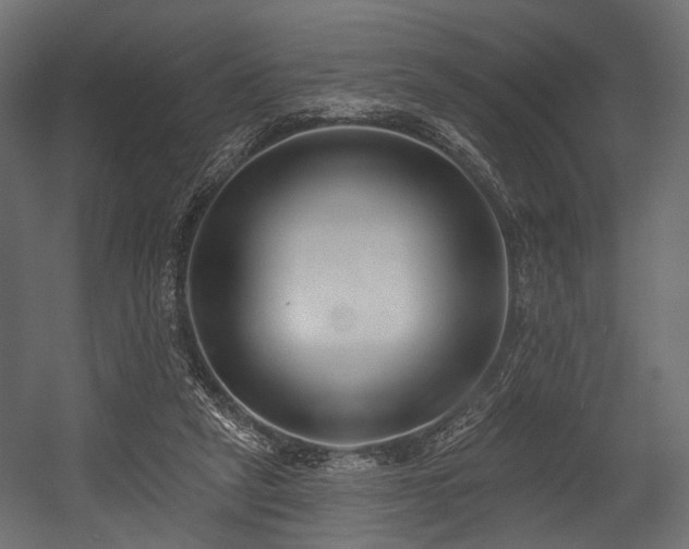 X0000054360257200508011228