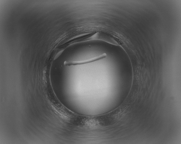 X0000054360258200508011228