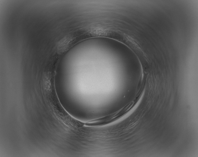 X0000054360259200508011228