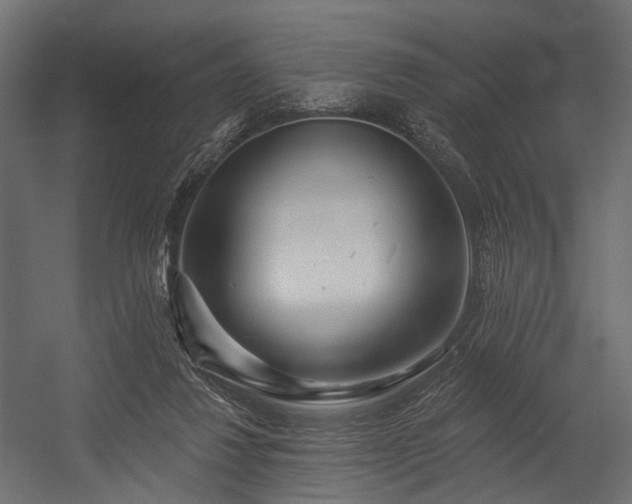 X0000054360260200508011228