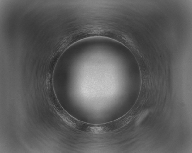 X0000054360265200508011228