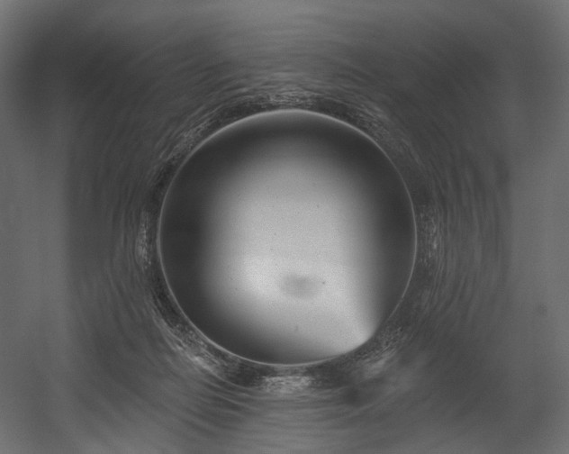X0000054360266200508011228