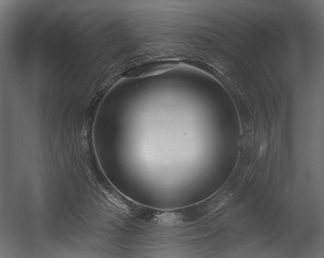X0000054360269200508011228