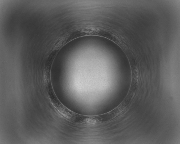 X0000054360272200508011228