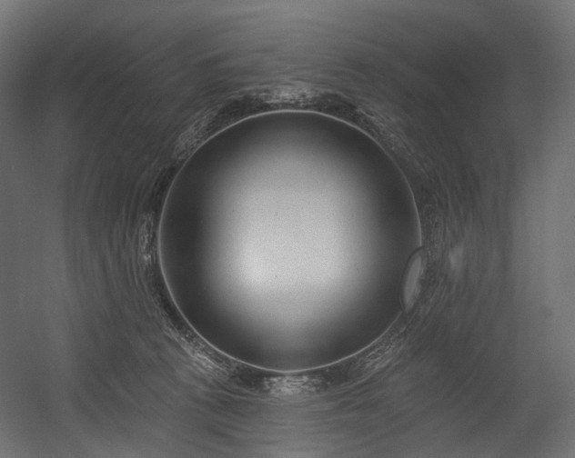 X0000054360273200508011228