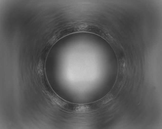 X0000054360274200508011228