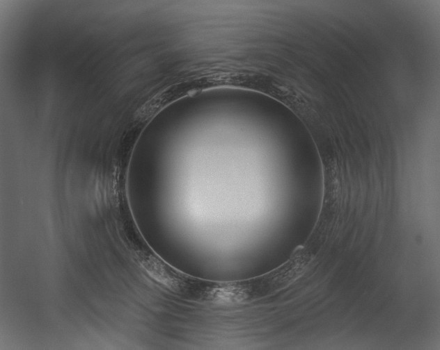 X0000054360275200508011228