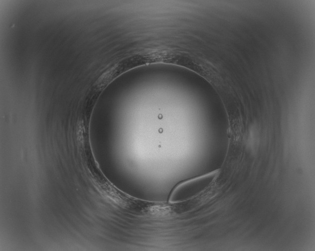 X0000054360279200508011228