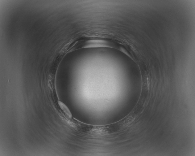 X0000054360280200508011228