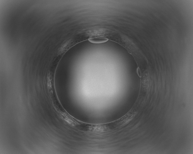 X0000054360282200508011228