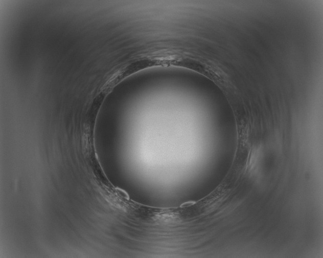 X0000054360283200508011228