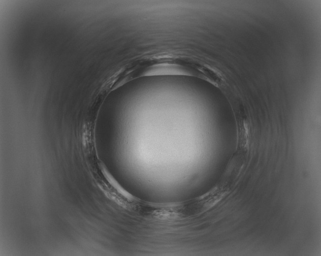 X0000054360284200508011228