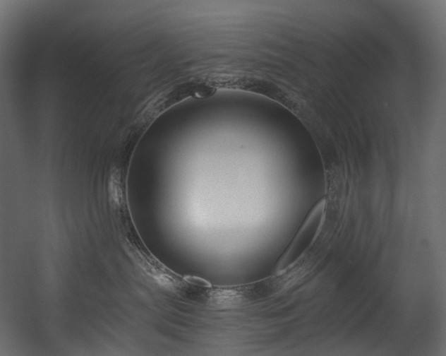 X0000054360287200508011228